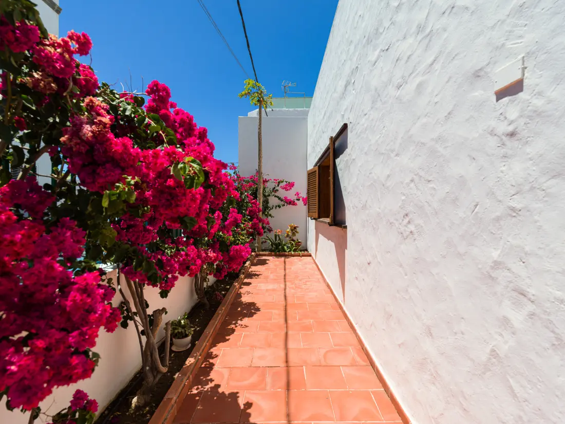 Chalets in Agaete