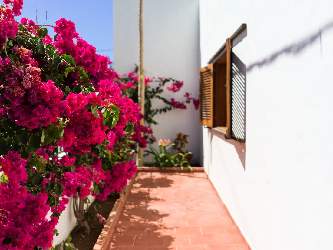 Chalets in Agaete