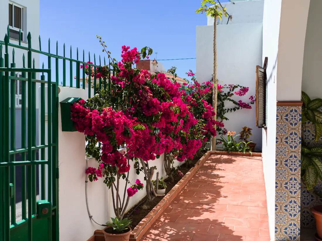Chalets in Agaete