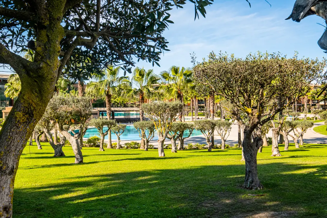 Apartmanok Albufeira