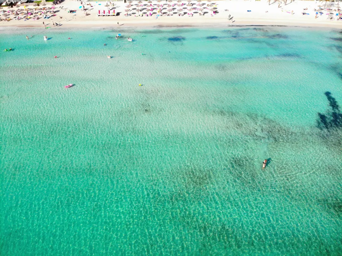 Ferienwohnungen in Alcúdia - Hafen von Alcúdia
