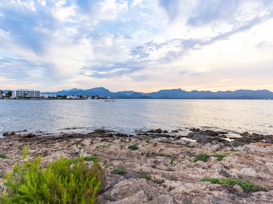 Ház Alcúdia - Alcúdia kikötő