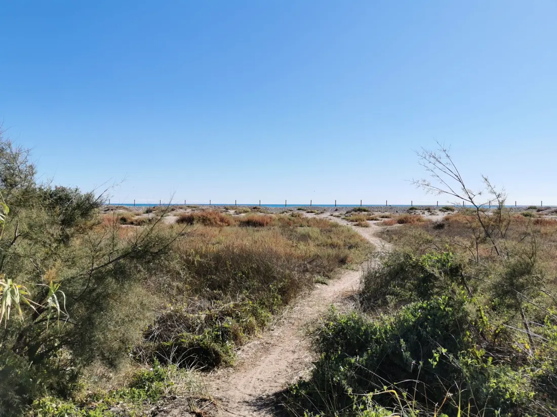 Apartmanok Almenara