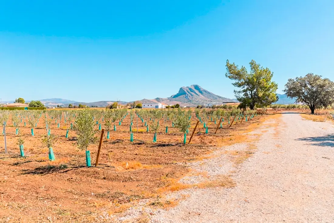 Huis in Antequera