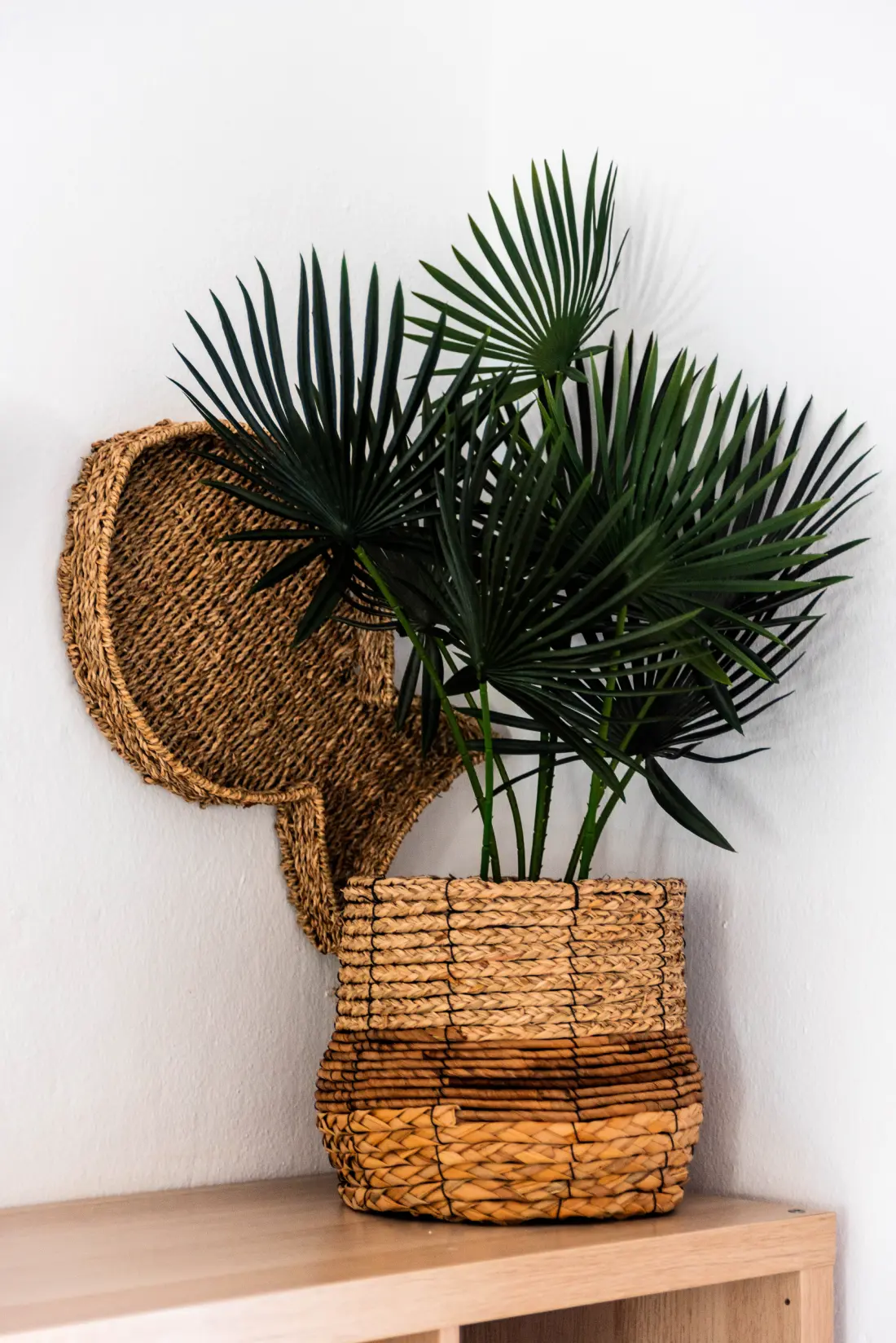 Apartmanok Arenal d'en Castell