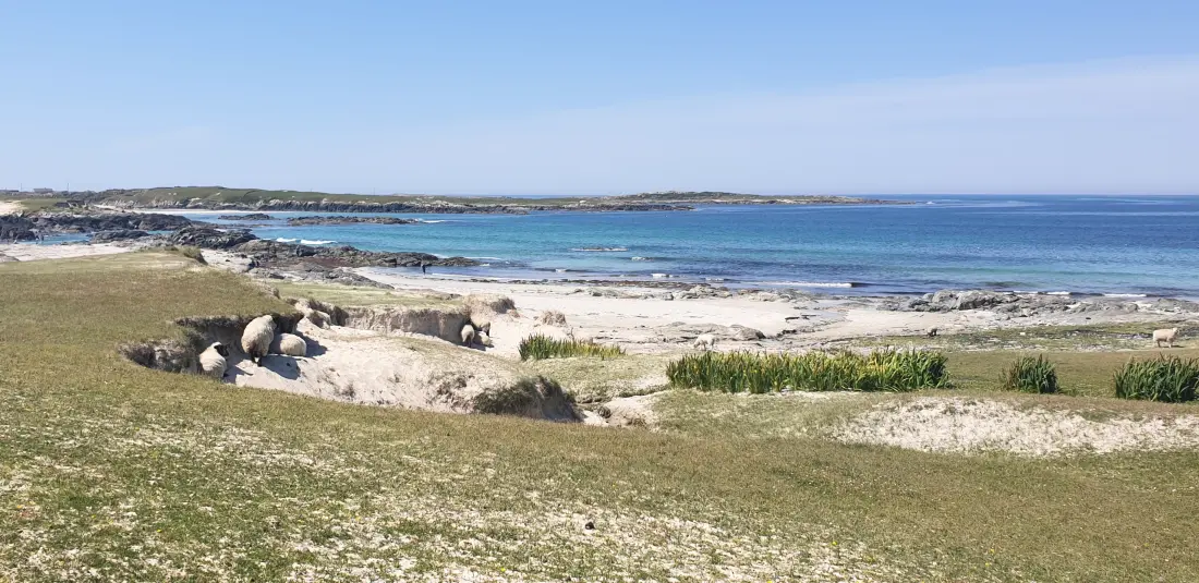 Mobil Home - Bungalow - Cottage in Ballyconneely Galway