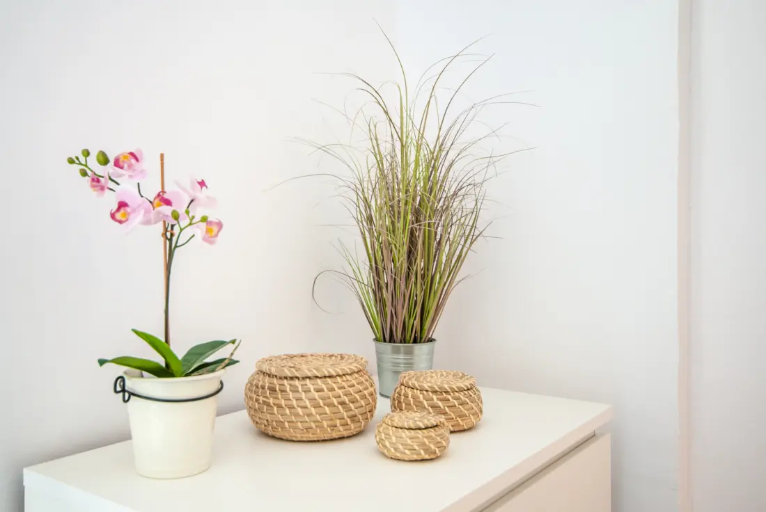 Apartmanok Benalmádenában
