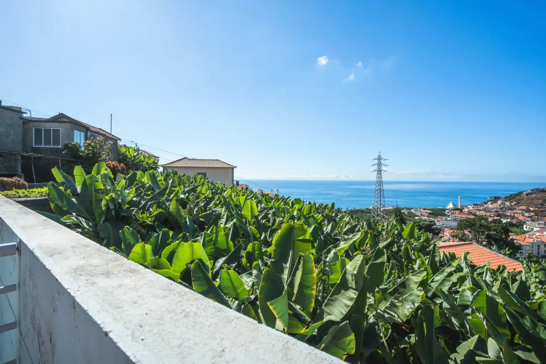 Apartmanok Camara de Lobos (Madere)