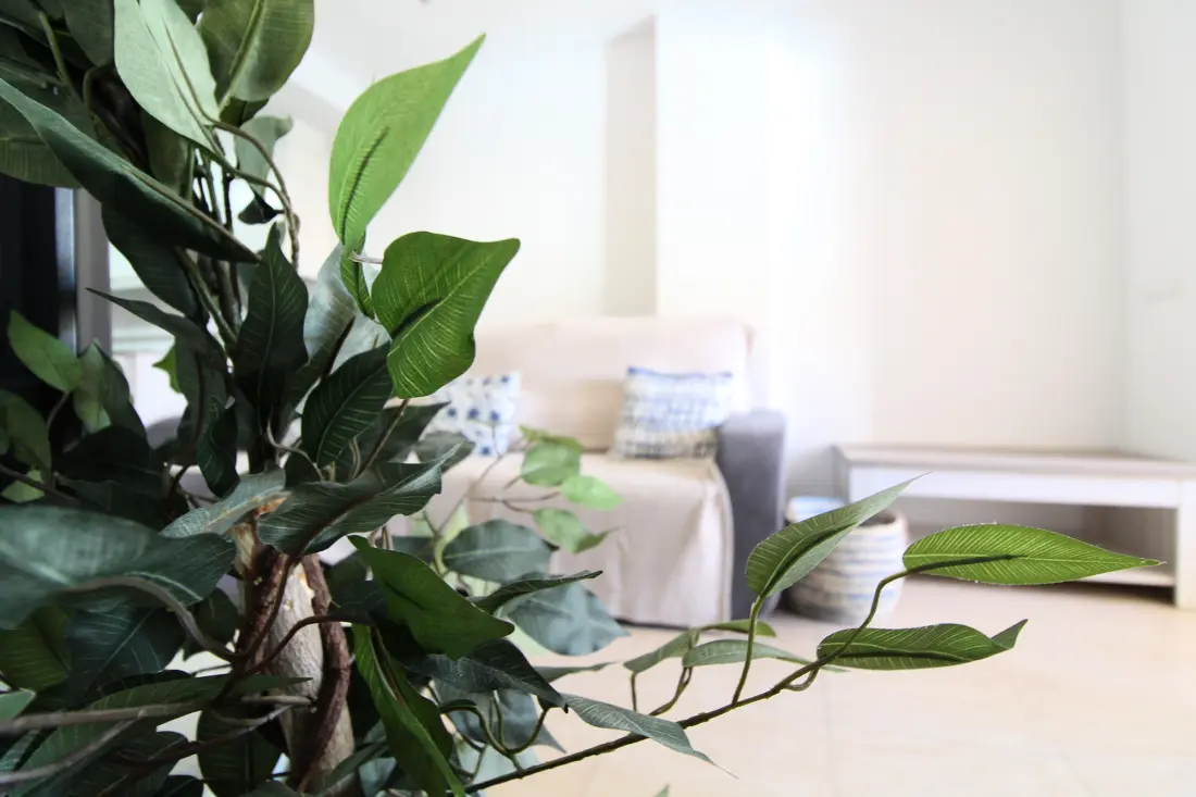 Apartmanok Canet d'En Berenguer