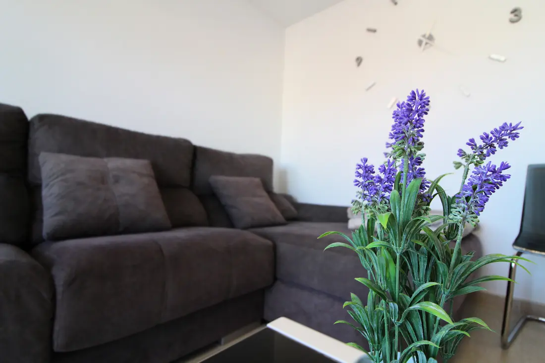 Apartamenty w Canet d 'En Berenguer
