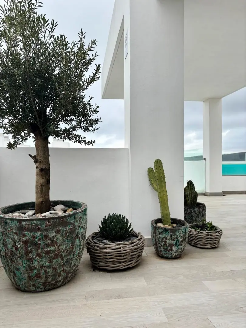 Apartmanok Casares