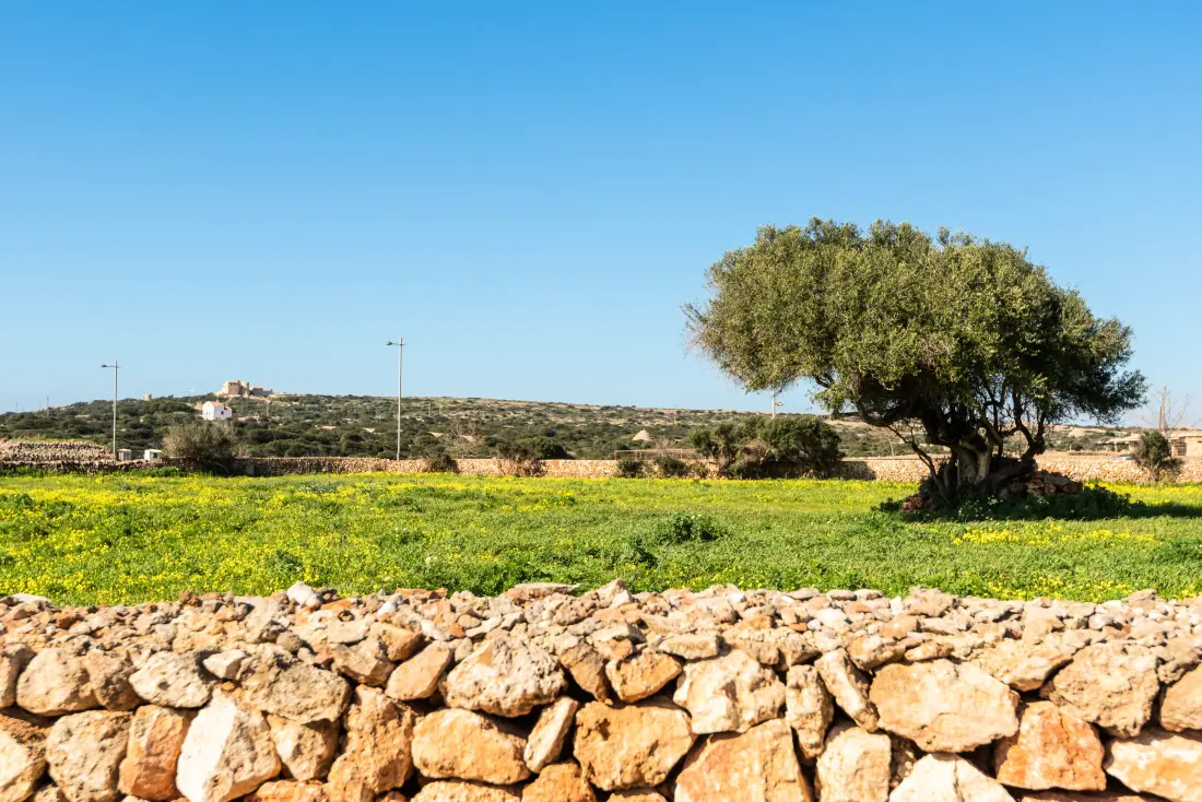 Ház Ciutadella de Menorca