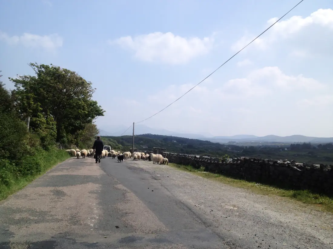 Apartmanok Clifden Galway