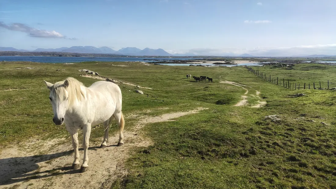 Apartmanok Clifden Galway