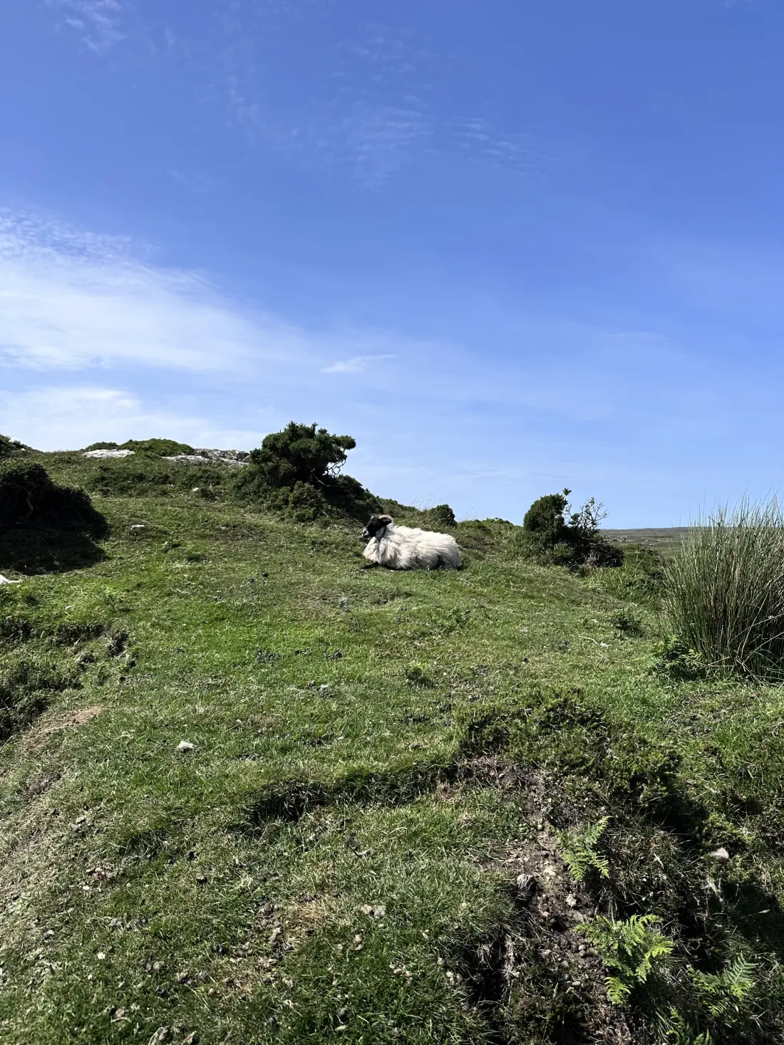 Apartmanok Clifden Galway