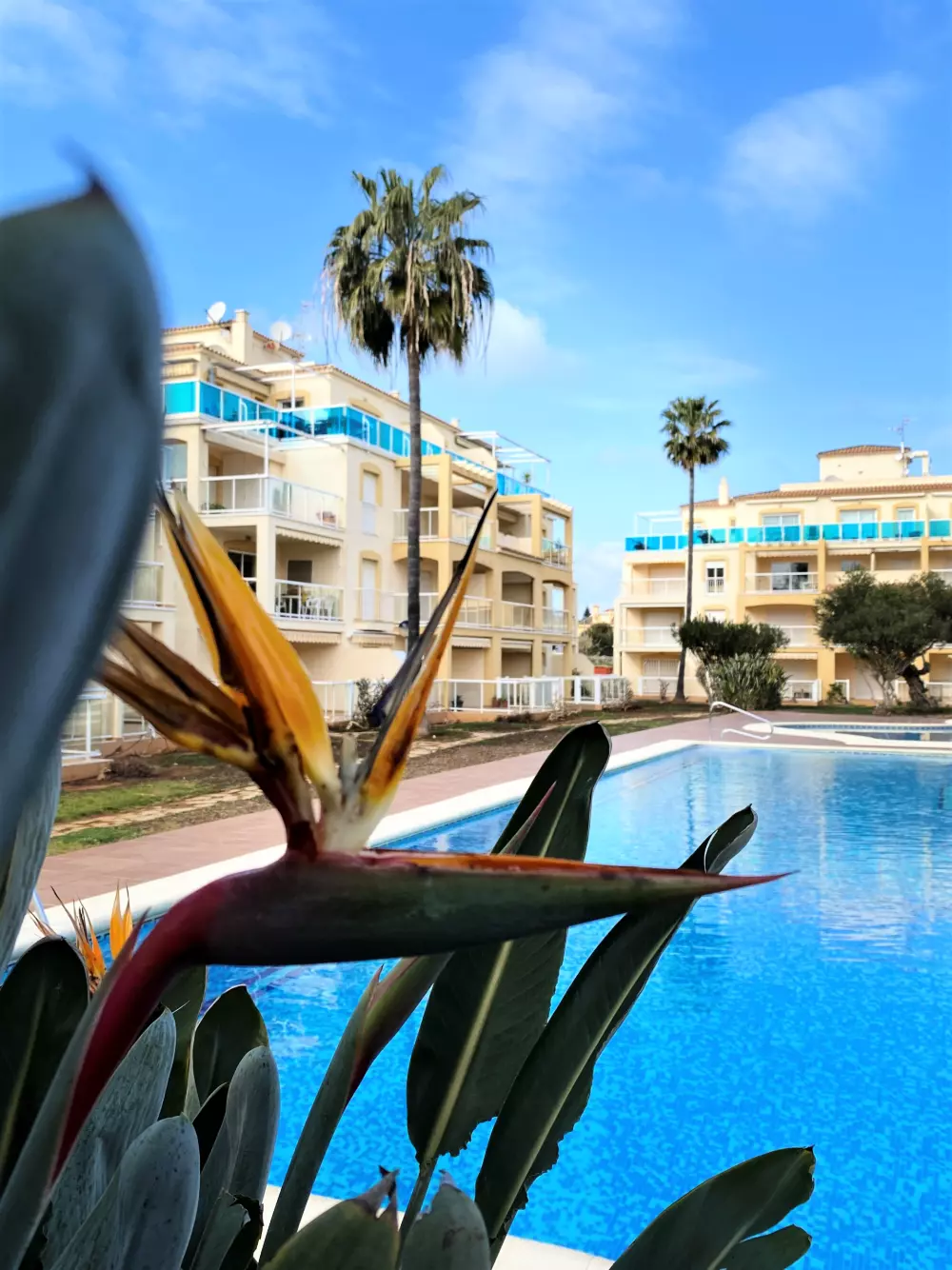 Apartamentos en Denia