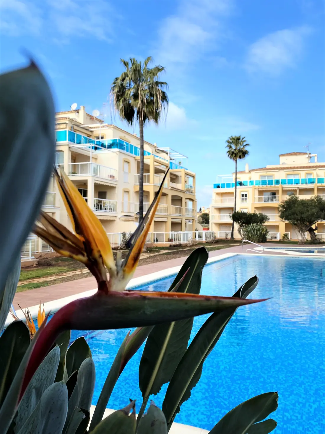 Ferienwohnungen in Denia