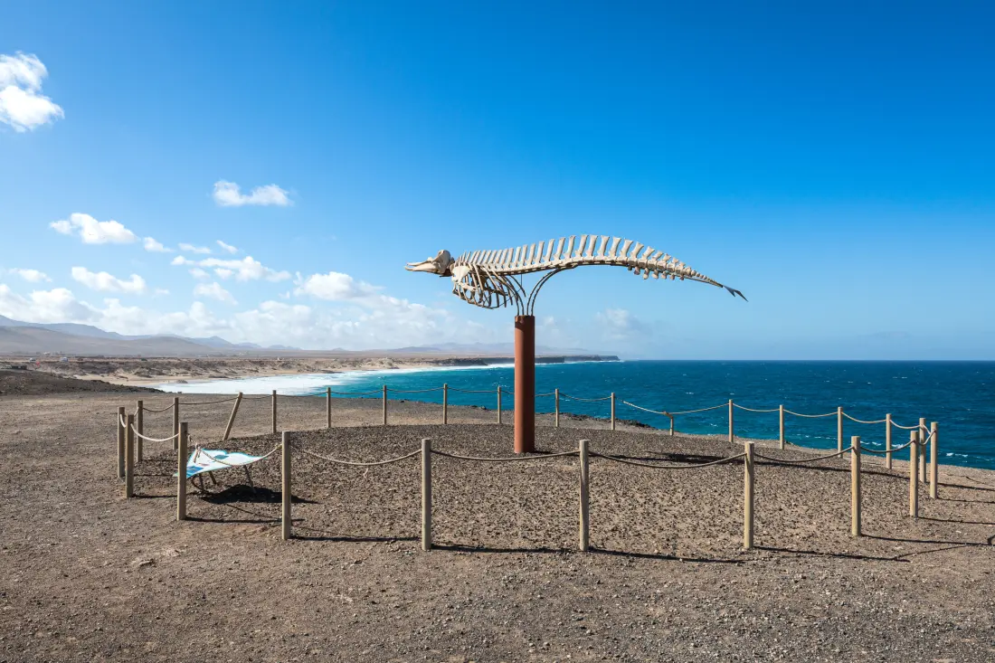 Ház El Cotillo