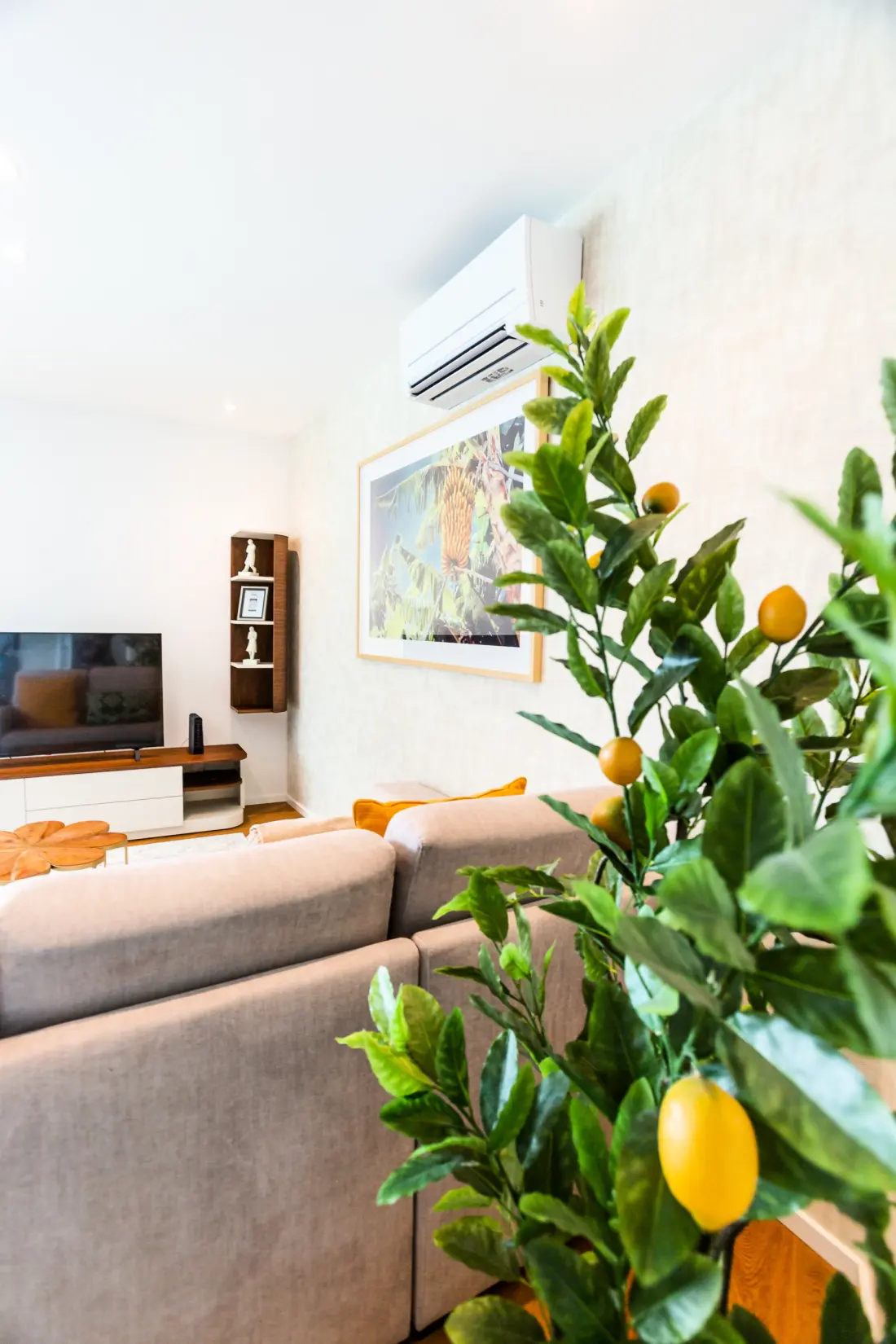 Apartamenty w Funchal (Madere)