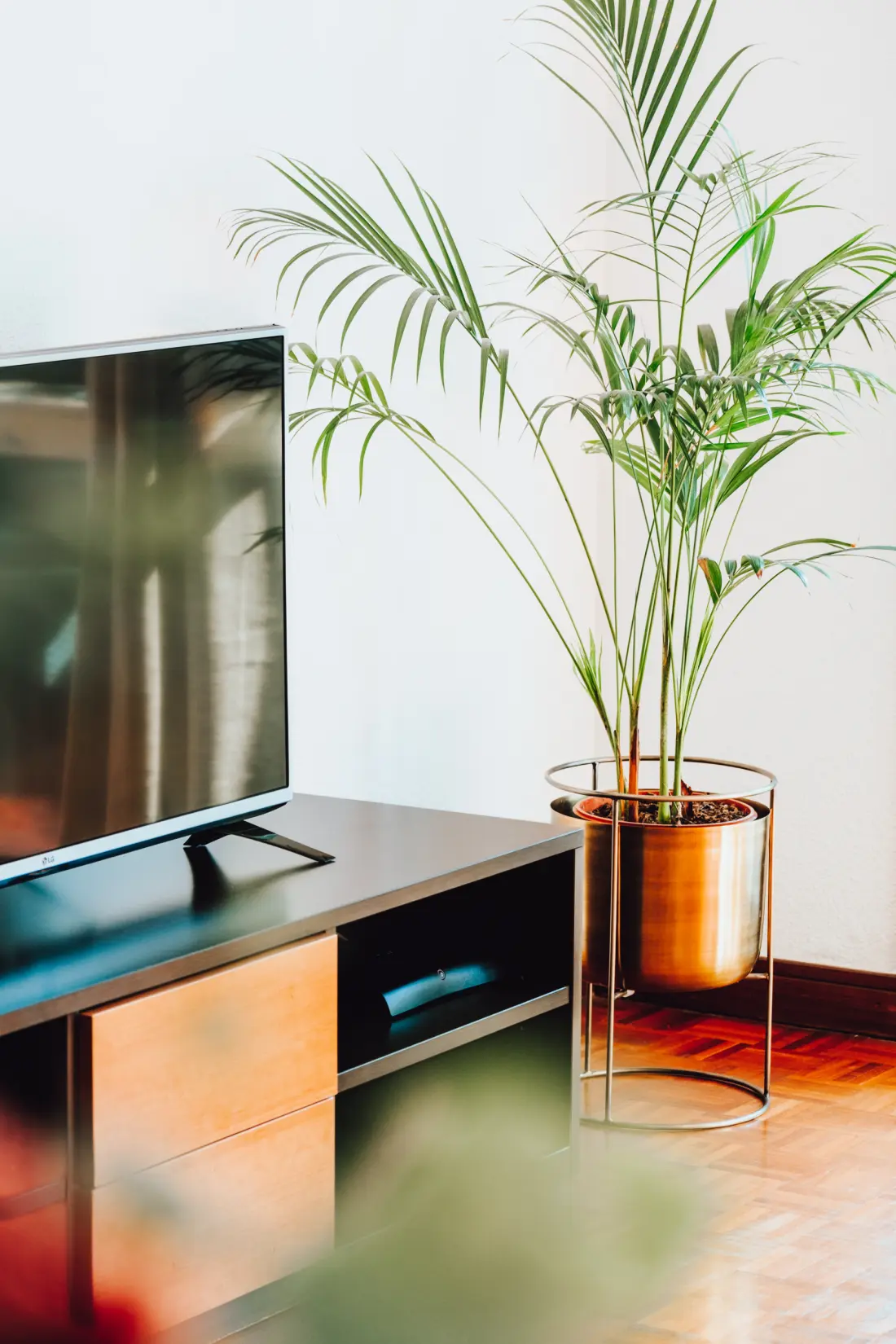 Apartmanok Funchal (Madere)