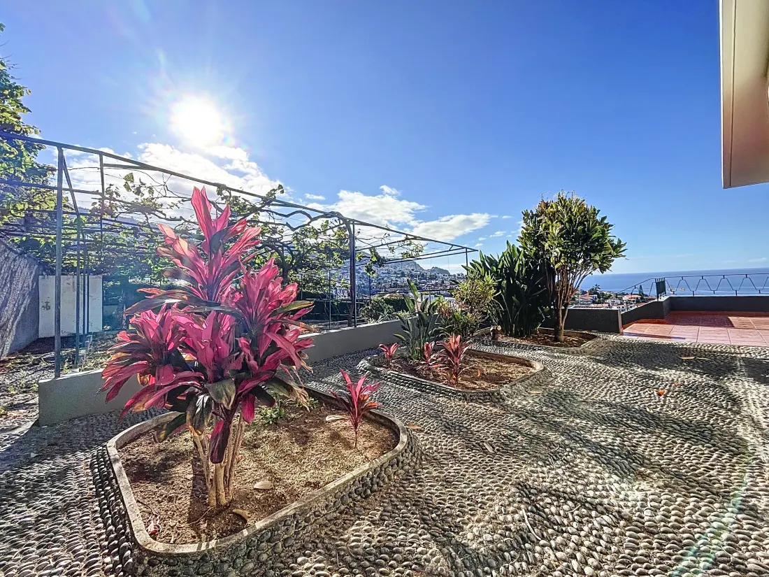 Apartamenty w Funchal (Madere)