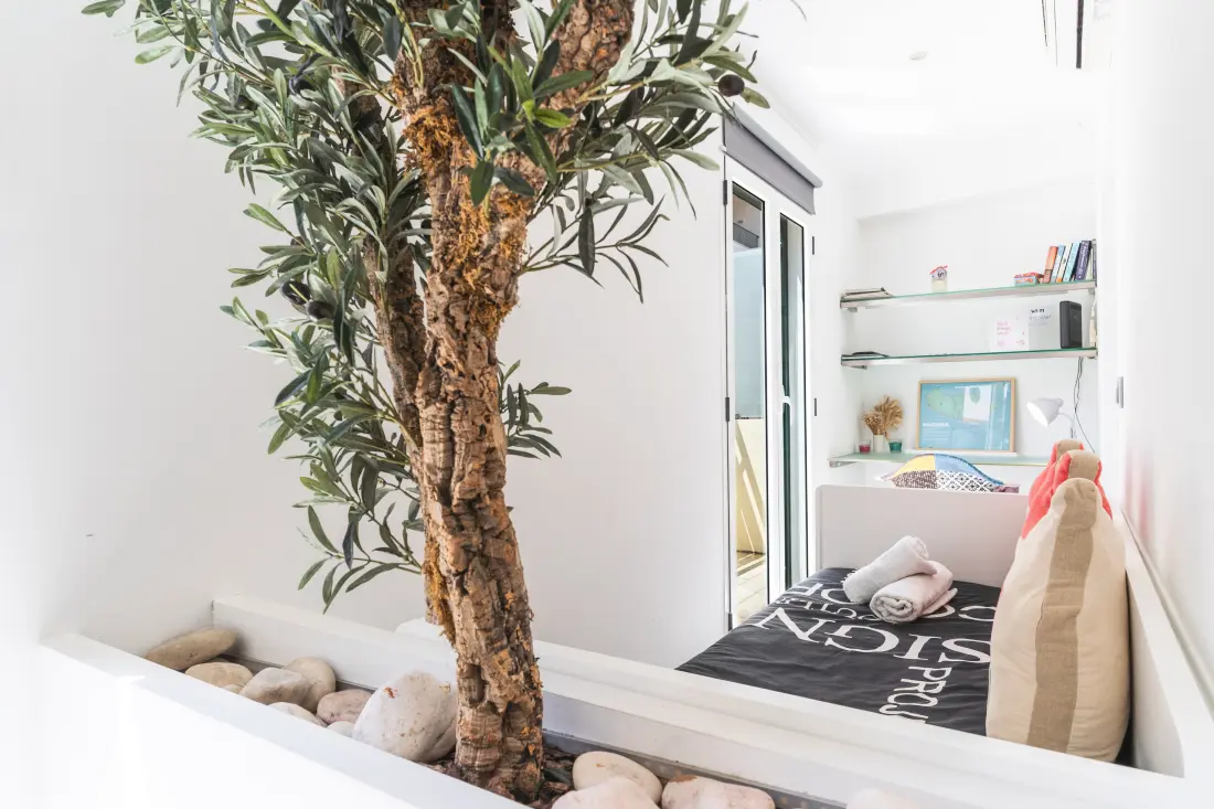 Apartamenty w Funchal (Madere)