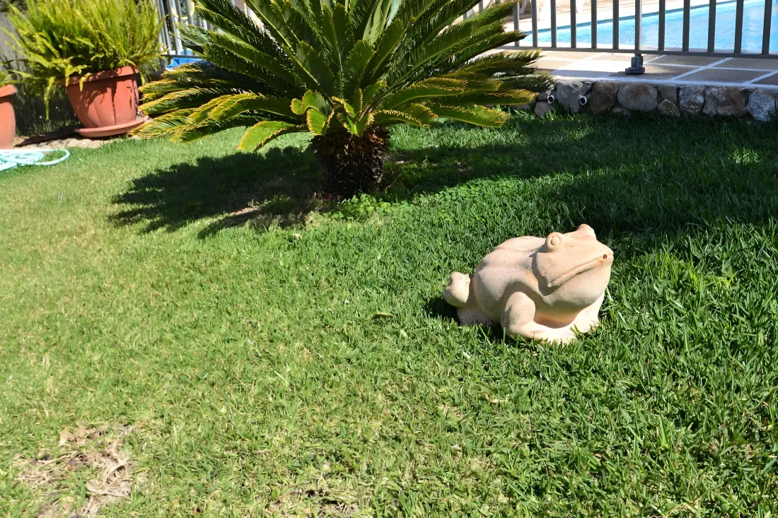 Ház Inca
