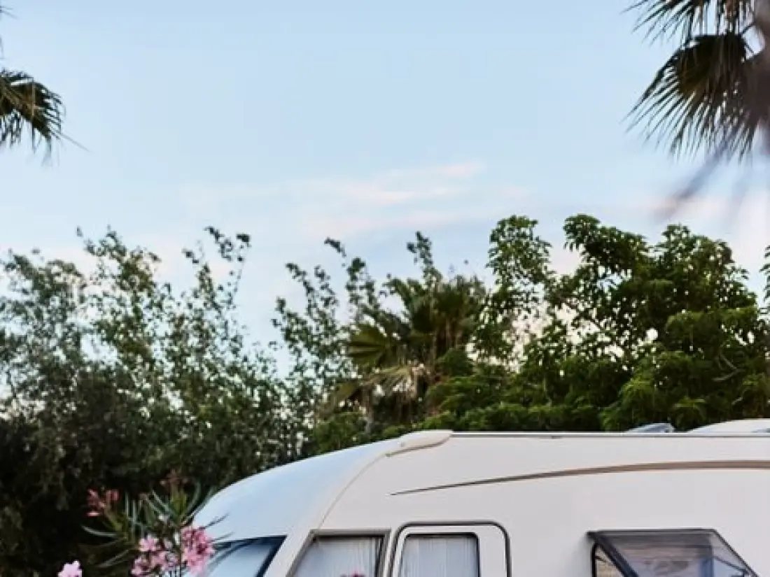 TAIGA Delta De L'Ebre 4 étoiles★★★★