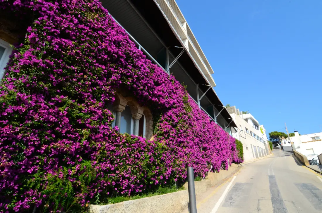 Apartmanok L'Estartit