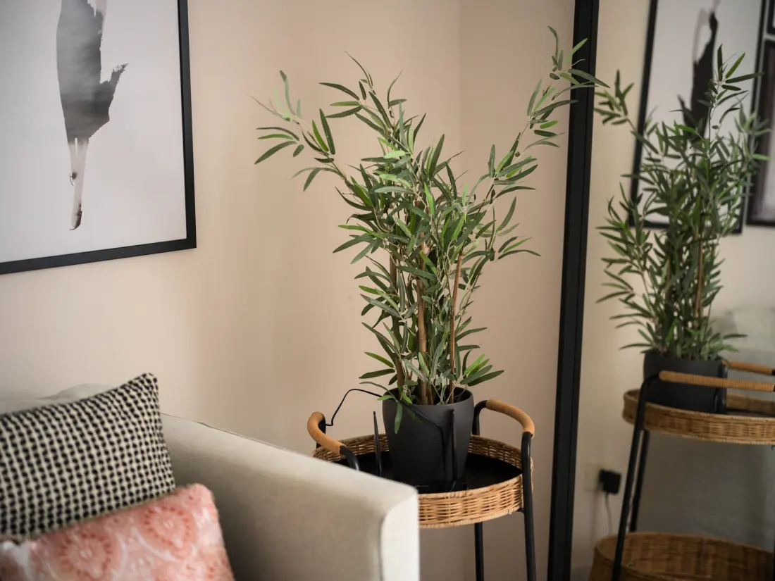 Apartmanok Las Palmas de Gran Canaria