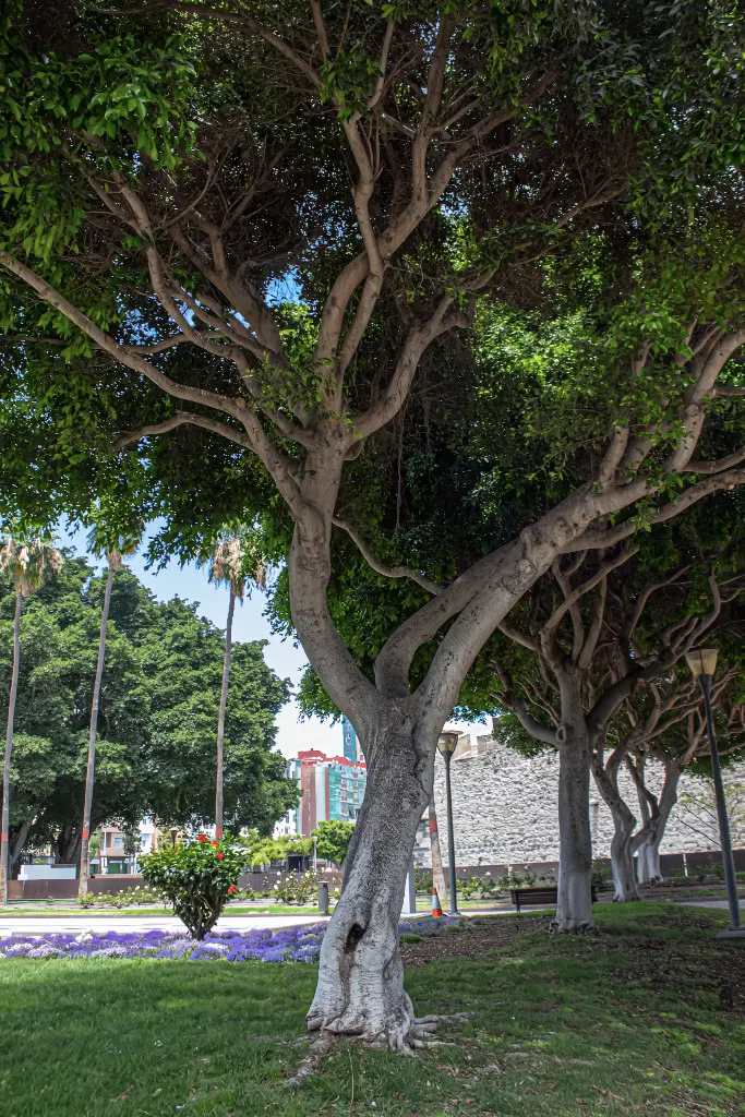 Ház Las Palmas de Gran Canaria