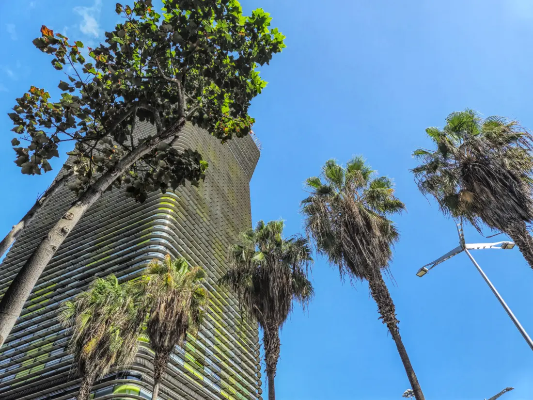 Apartmanok Las Palmas de Gran Canaria