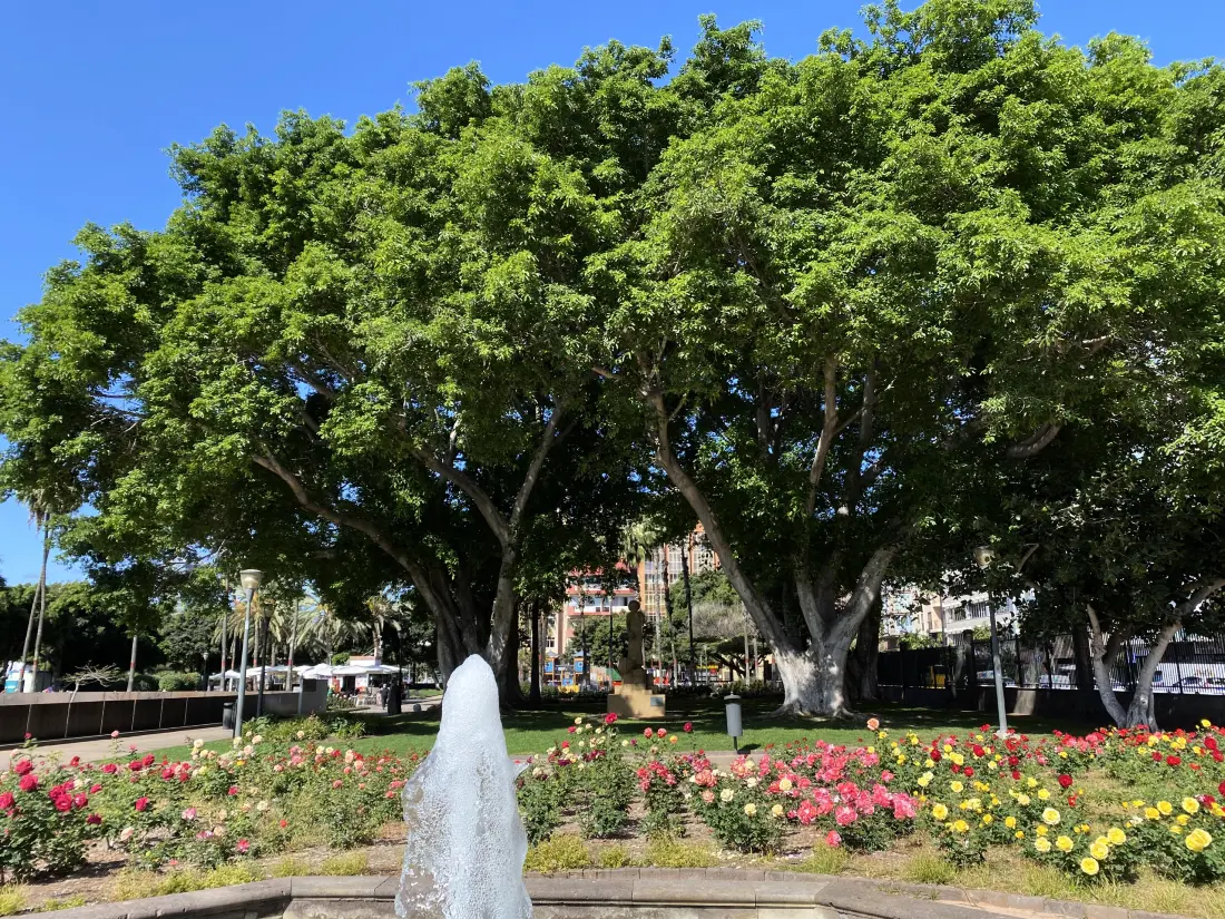 Stúdió Las Palmas de Gran Canaria