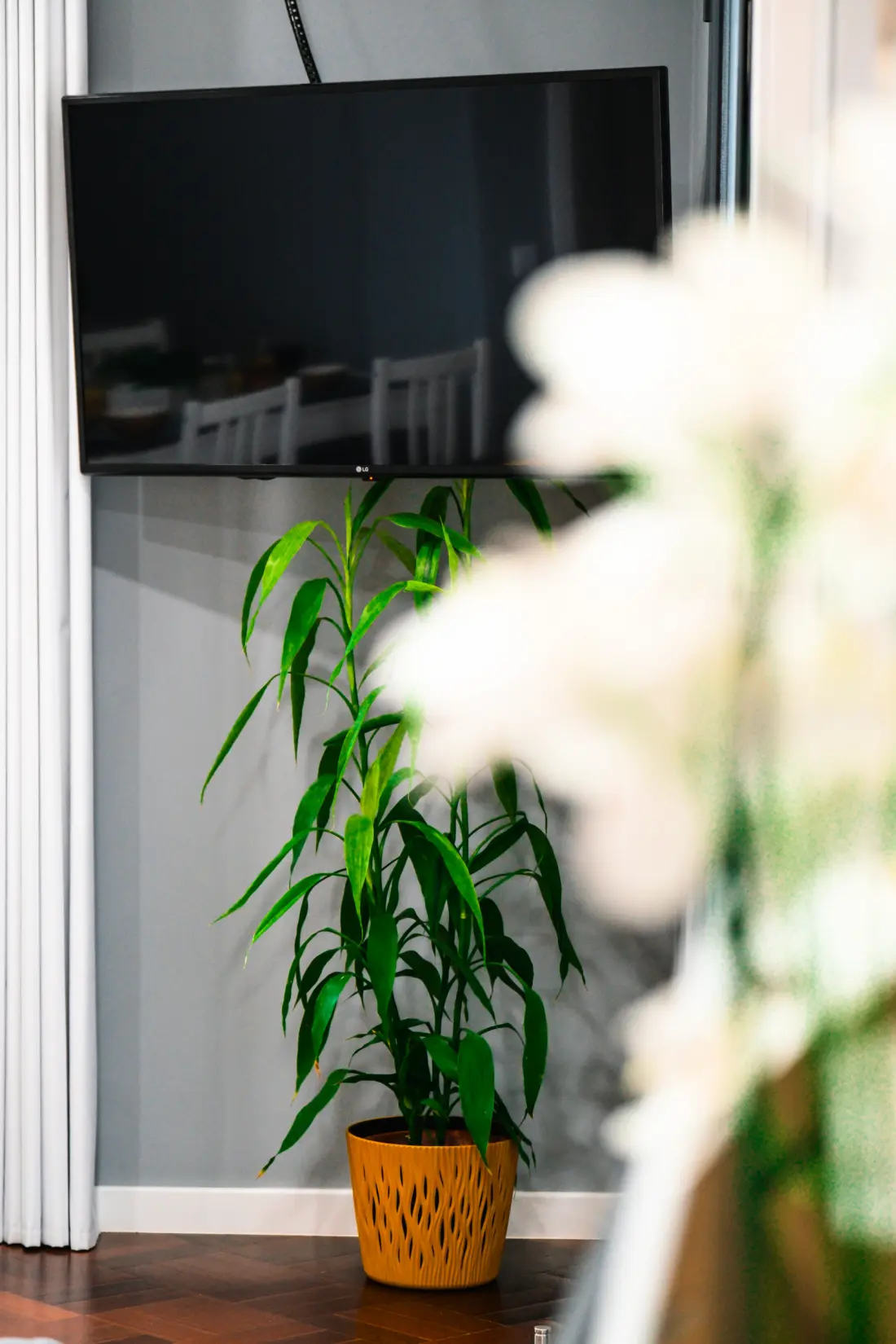 Apartmanok Machico (Madere)