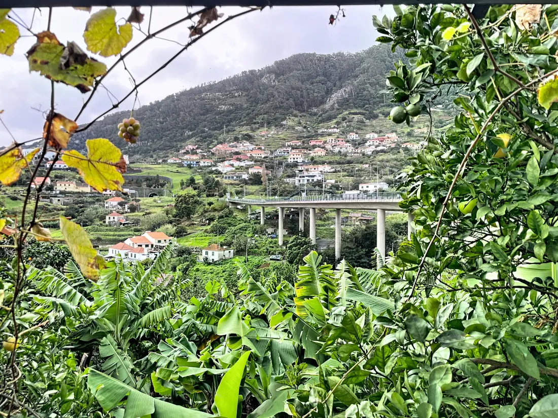 Ház Machicoban (Madere)