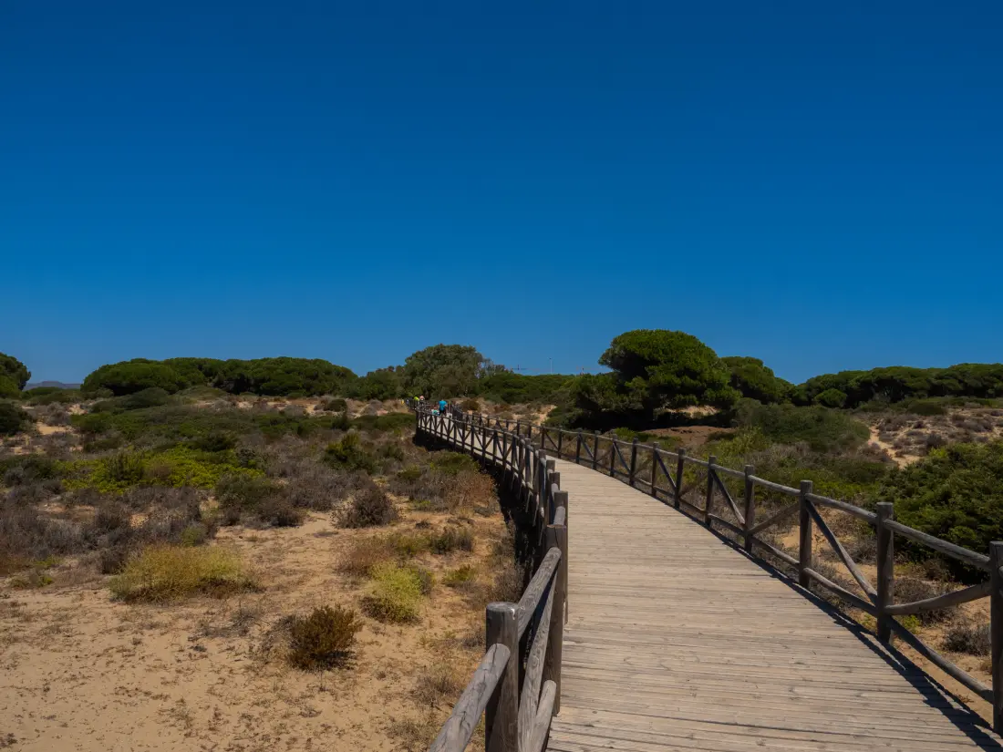 Apartmanok Marbella
