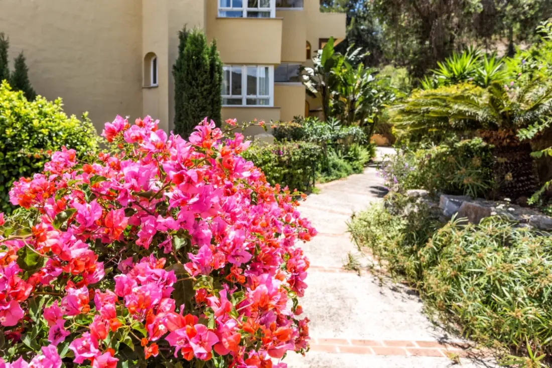 Apartmanok Marbella