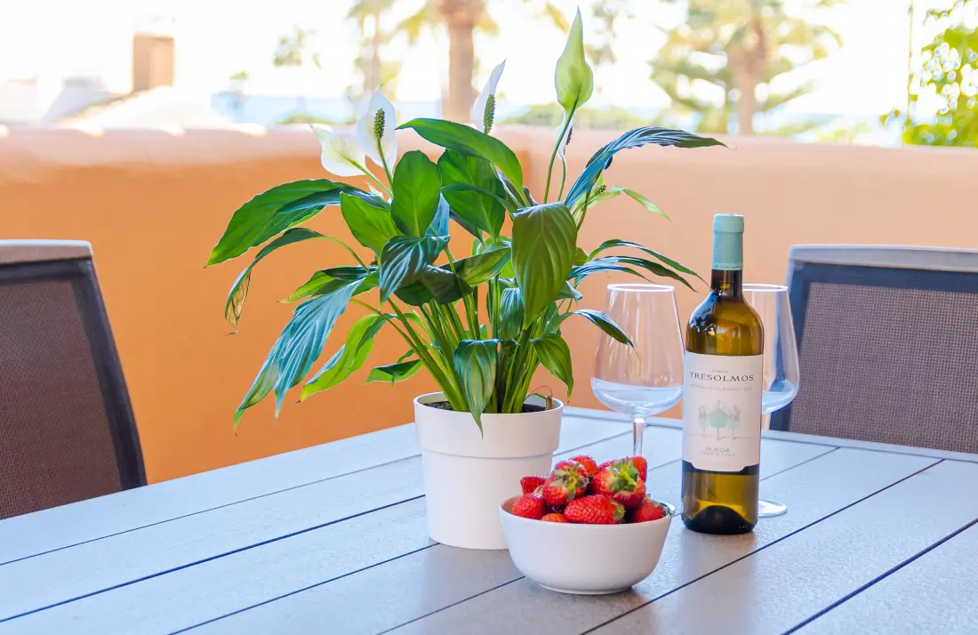 Apartmanok Marbella