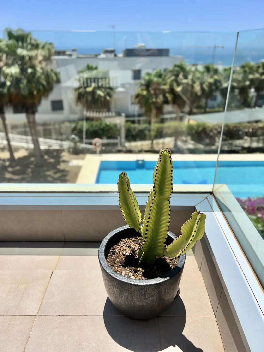 Apartmanok Marbella