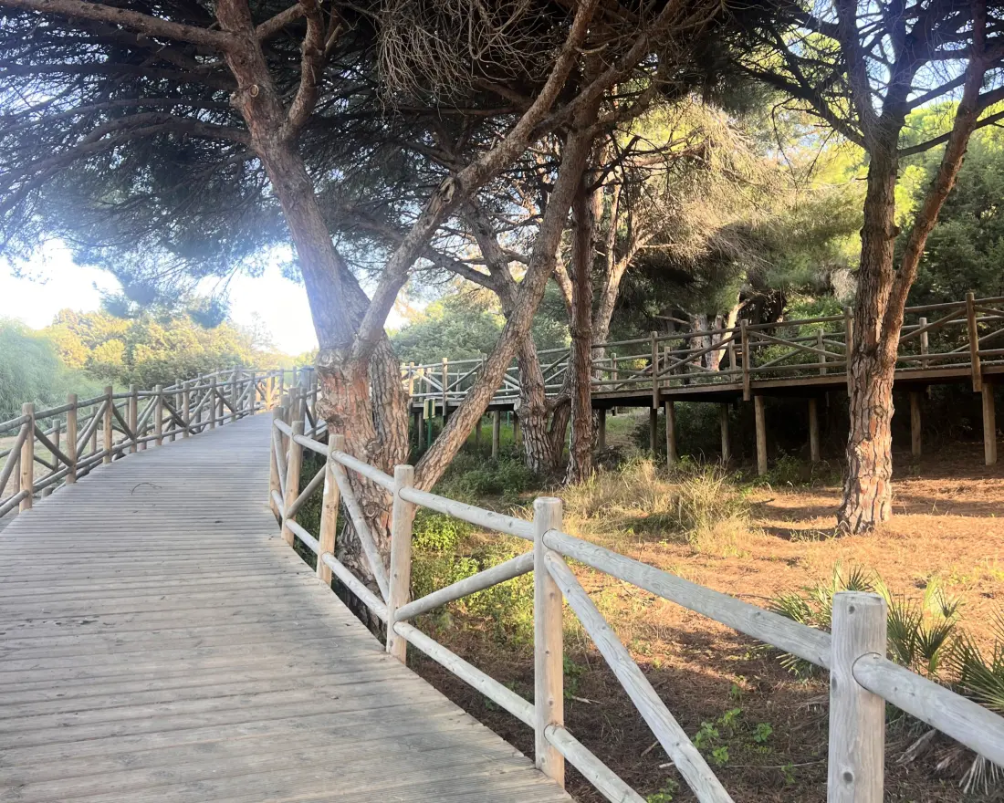 Apartmanok Marbella