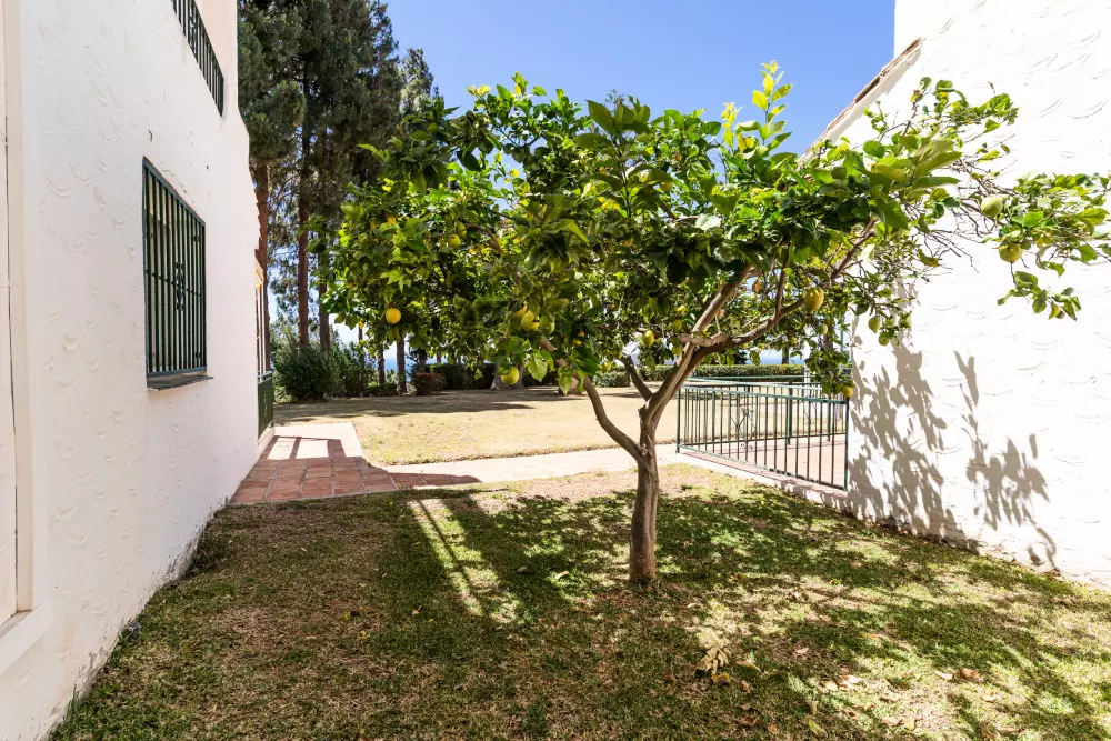Appartementen in Mijas Costa