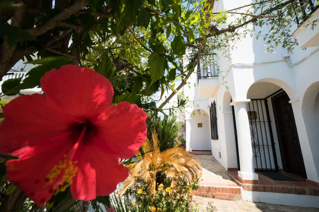 Apartmanok Nerja