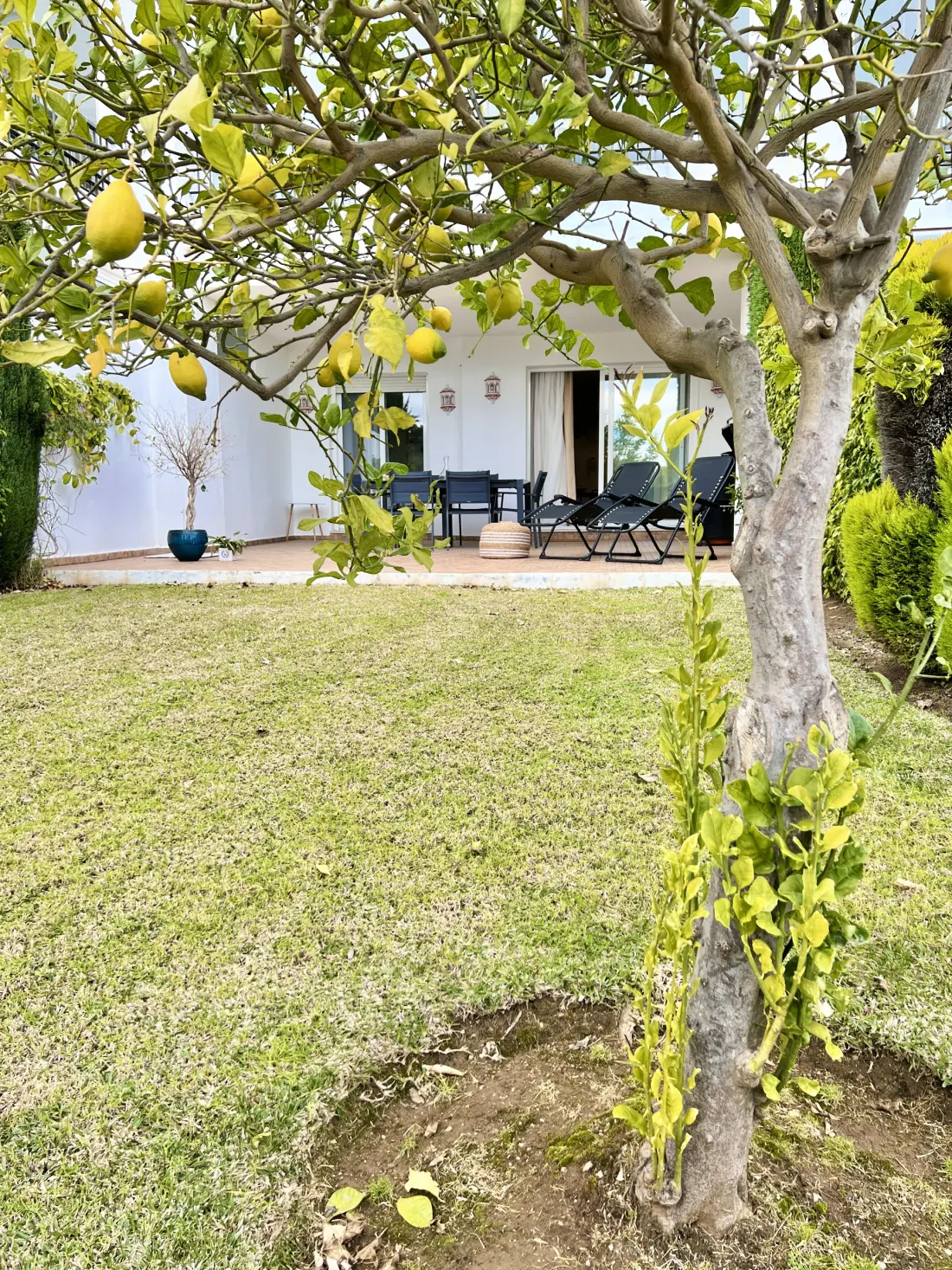 Apartmanok Ojen