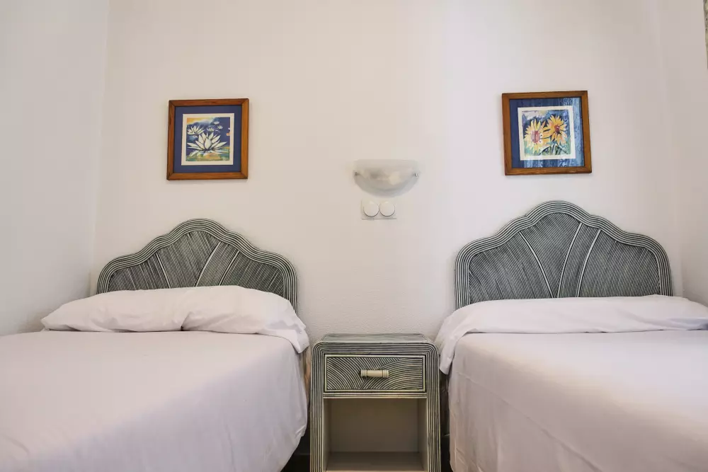 Apartments in Oliva