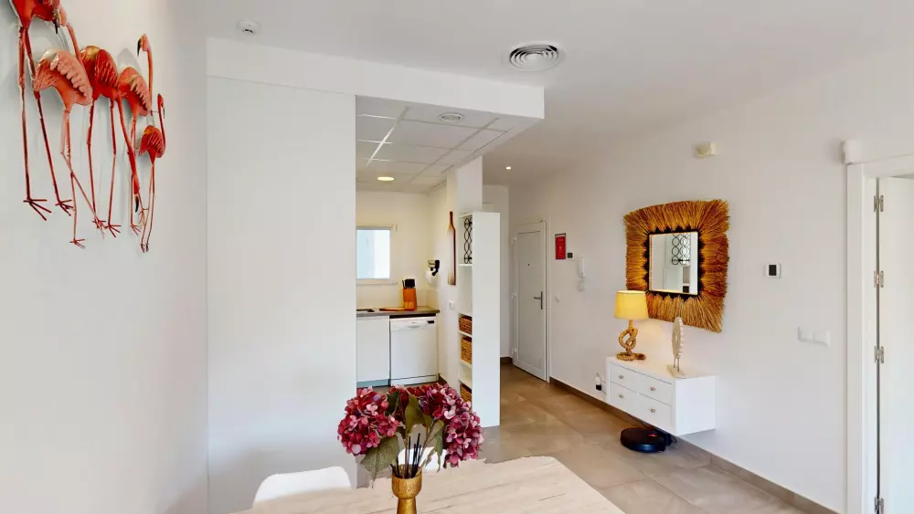 Apartamentos en Oliva