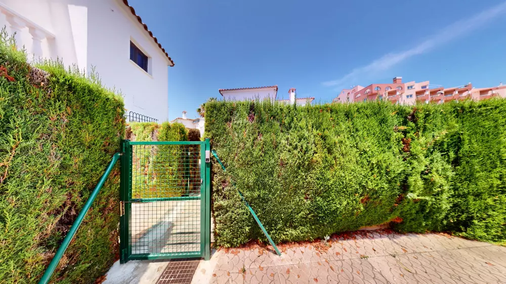 Apartments in Oliva