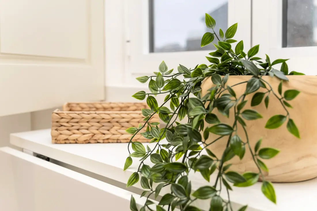 Apartmanok Porto