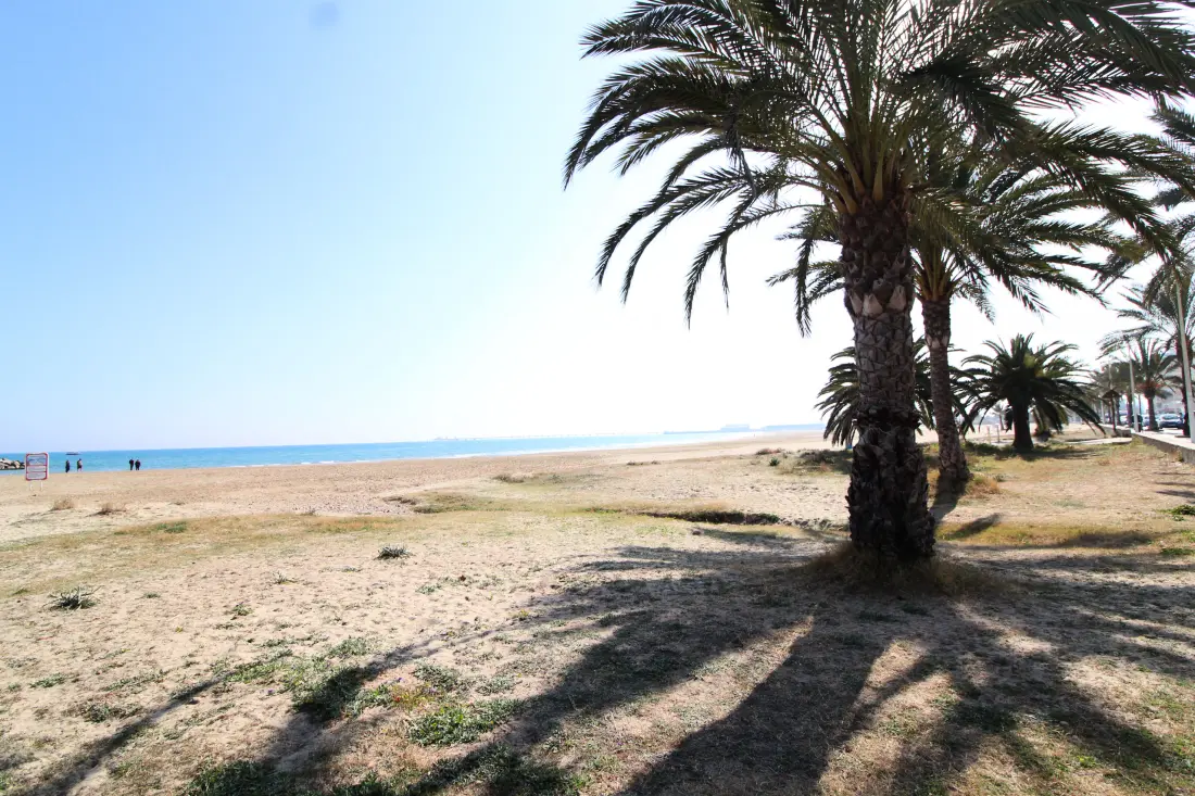 Apartamenty w Puerto de Sagunto