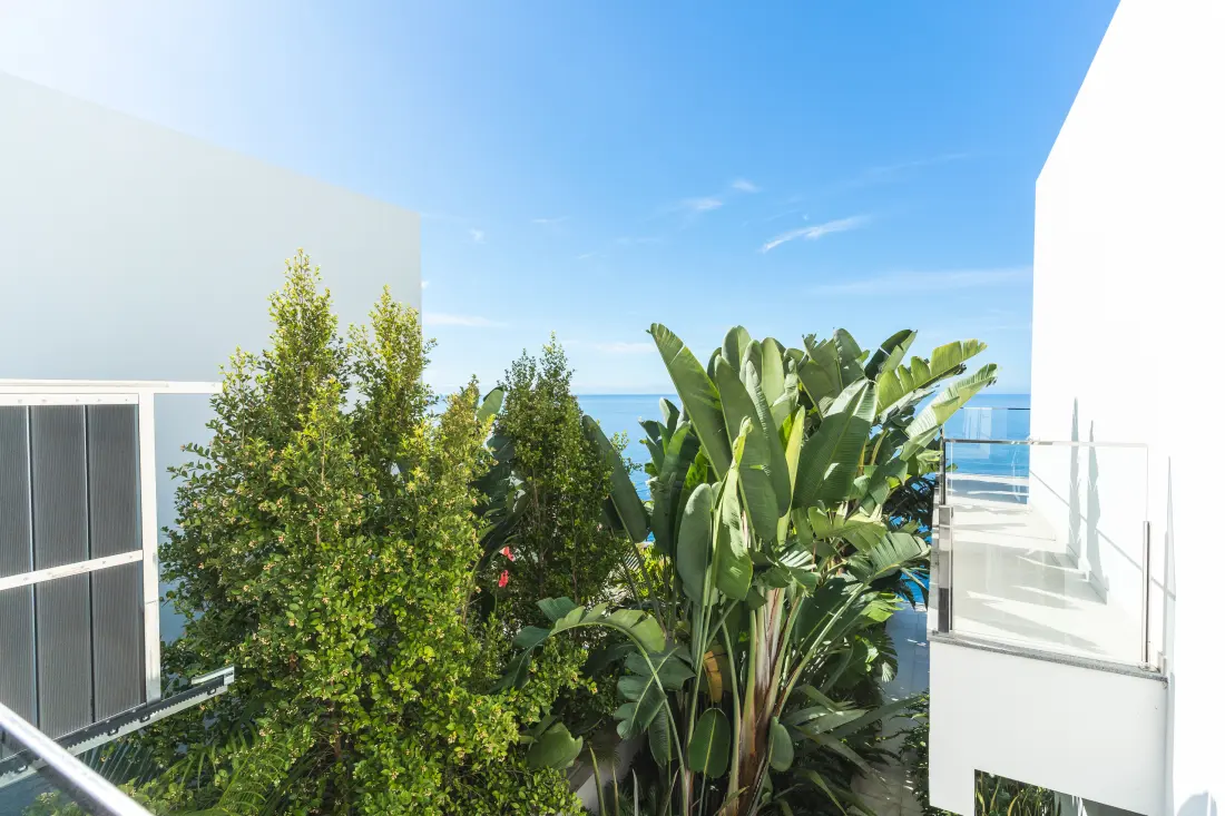House in Ribeira Brava (Madere)
