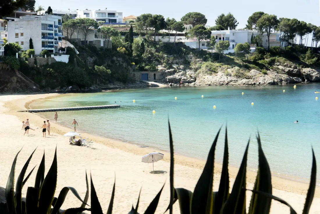 Stúdió Rosesben